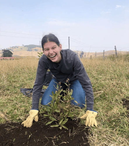 Planting trees with Fundacion Biblioseo