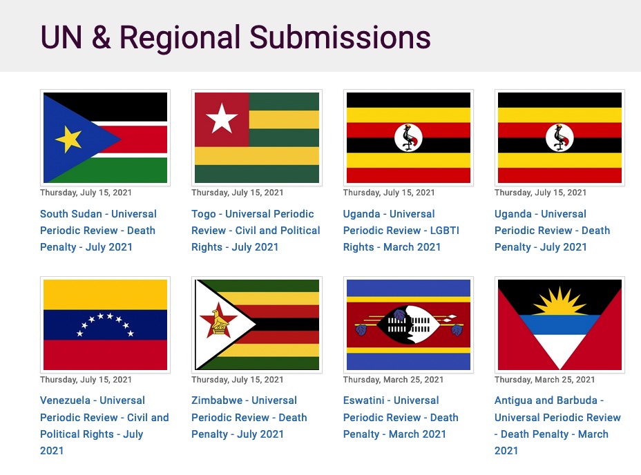 A Glimpse Behind the Curtain: My Internship with The Advocates for Human Rights featured image